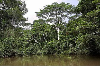 《怪物猎人物语2：毁灭之翼》首日补丁500M NS数字版需13.5G空间